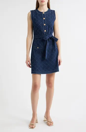 Darcy Denim Mini Dress