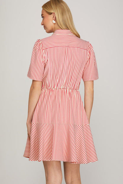 Brunch Date Mini Dress