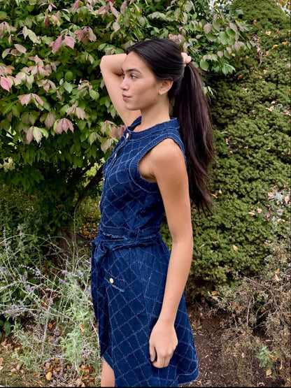 Darcy Denim Mini Dress