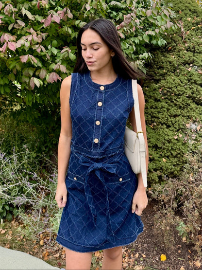 Darcy Denim Mini Dress